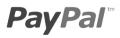 PayPal Icon