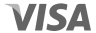 Visa Icon